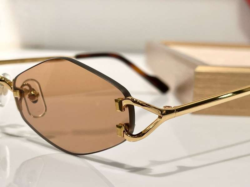 Picture of Cartier Sunglasses _SKUfw56642605fw